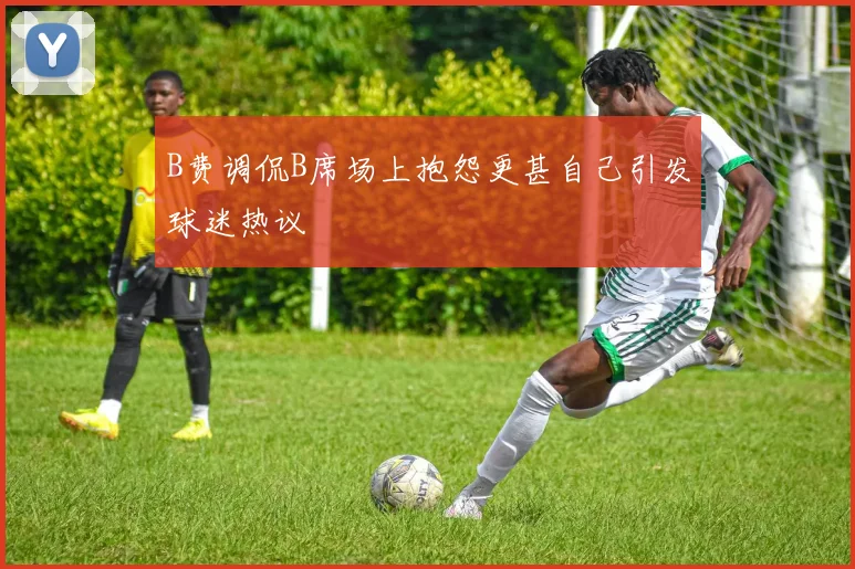 B费调侃B席场上抱怨更甚自己引发球迷热议