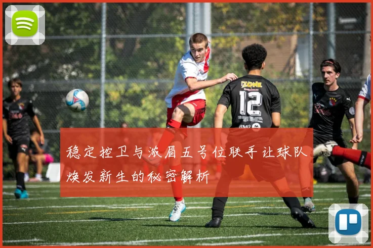 稳定控卫与浓眉五号位联手让球队焕发新生的秘密解析