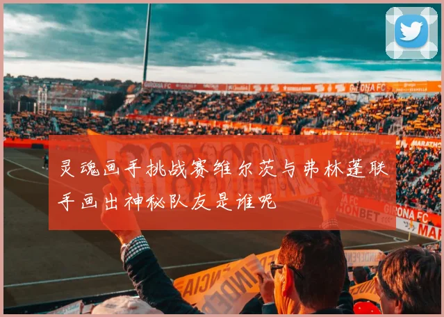 灵魂画手挑战赛维尔茨与弗林蓬联手画出神秘队友是谁呢
