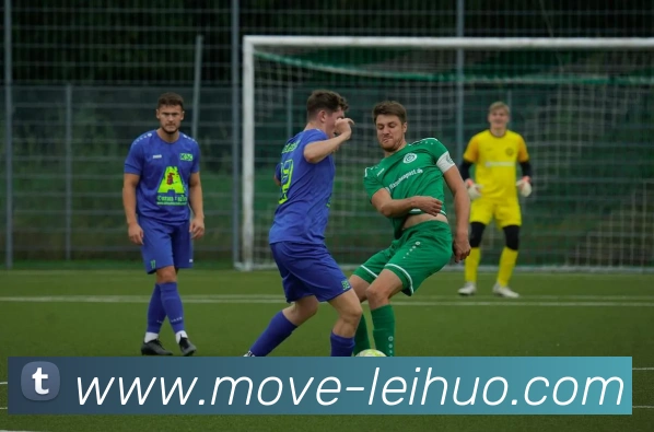 App Interface Preview